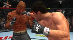 Nowe screeny z gry UFC 2009