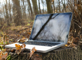 Jaki laptop wybrać do pracy zdalnej?