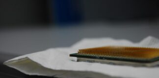 Czy krzyk do ucha może uszkodzić słuch? Czy krzyk do ucha może uszkodzić słuch?