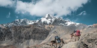 Jaka jest najnowsza konsola? Jaka jest najnowsza konsola?