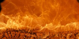 Z jakiego kraju pochodzi marka JBL? Z jakiego kraju pochodzi marka JBL?