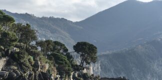 Ile kosztuje najtańsze PlayStation? Ile kosztuje najtańsze PlayStation?