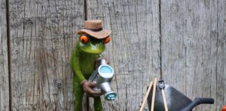 Jaki abonament dla seniora? Jaki abonament dla seniora?