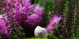 Czy obudowa komputera ma znaczenie? Czy obudowa komputera ma znaczenie?