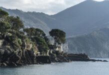 Ile kosztuje switch? Ile kosztuje switch?