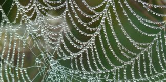 Kiedy zostanie wyłączoną sieć 3G? Kiedy zostanie wyłączoną sieć 3G?