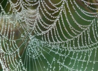 Kiedy zostanie wyłączoną sieć 3G? Kiedy zostanie wyłączoną sieć 3G?