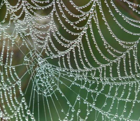 Kiedy zostanie wyłączoną sieć 3G? Kiedy zostanie wyłączoną sieć 3G?
