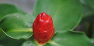 Ile kosztowało PS4 w dniu premiery? Ile kosztowało PS4 w dniu premiery?