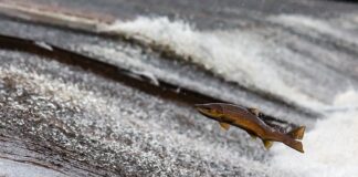 Co pożera najwięcej prądu? Co pożera najwięcej prądu?