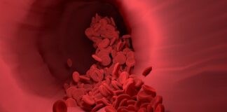 Ile pinów ma DDR? Ile pinów ma DDR?