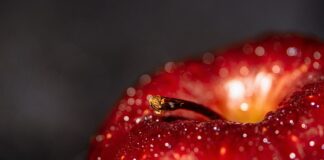 Jak przestawić się z Androida na iPhone? Jak przestawić się z Androida na iPhone?